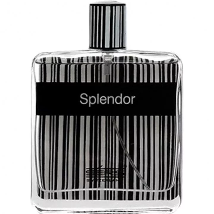 عطر ادکلن اسپلندور بلک | Splendor Black