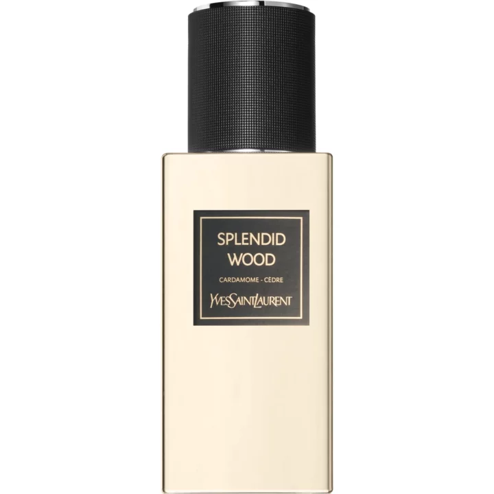 دکانت عطر ایو سن لورن اسپلندید وود | YVES SAINT LAURENT Splendid Wood