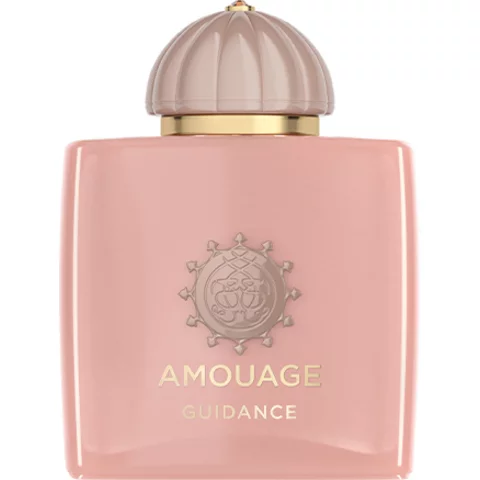 دکانت عطر آمواج گایدنس | Amouage Guidance