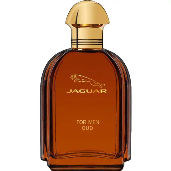 عطر ادکلن جگوار عود مردانه | Jaguar For Men Oud