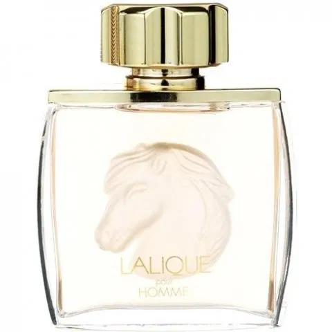 عطر ادکلن لالیک پور هوم اکو اس | Lalique Pour Homme Equus