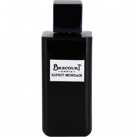 عطر ادکلن برکورت اسپیریت ماندین | Brecourt Esprit Mondain