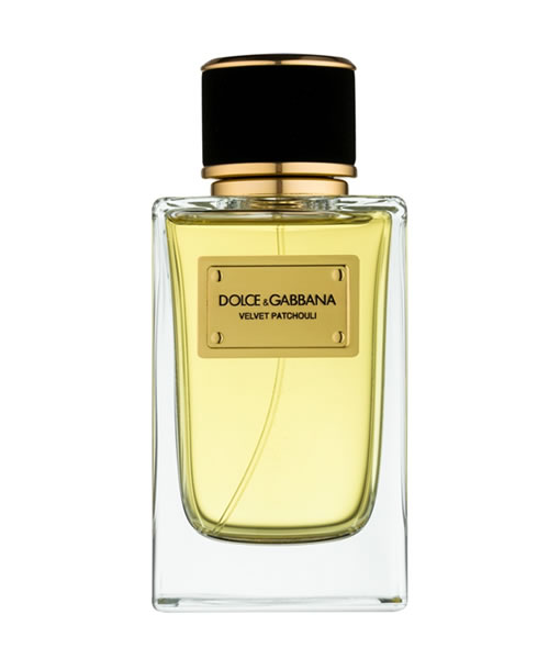 عطر ادکلن دی اند جی دلچه گابانا ولوت پچولی | Dolce Gabbana Velvet Patchouli